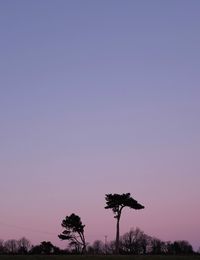 Low angle view of silhouette trees against clear sky