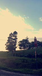 Scenic view of grassy field against sky