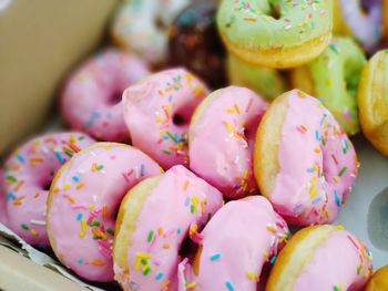 Close-up of multi colored candies