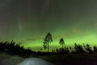 Road amidst trees against sky at night