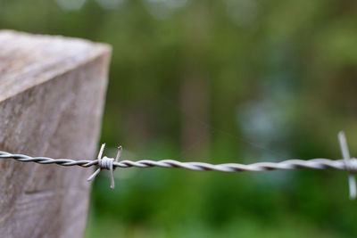 Close-up of barbed wire fence