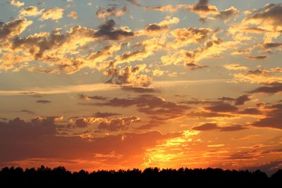 Low angle view of silhouette trees against romantic sky