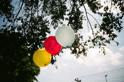 Low angle view of balloons against trees against sky