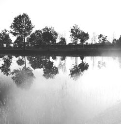 Reflection of trees in lake against sky