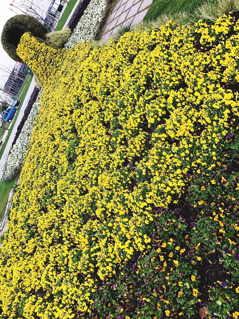 yellow, no people, textured, low angle view, backgrounds, close-up, indoors, day