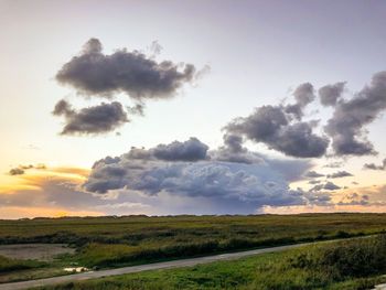 Scenic view of field against sky during sunset