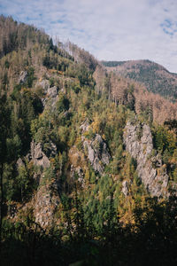 High angle view of trees and mountains against sky