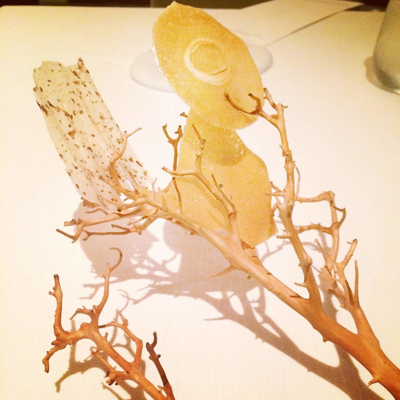 Spectacular food