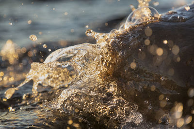 Stony beach stones and rocks sunlit in the evening closeup, texture sunset and sunrise