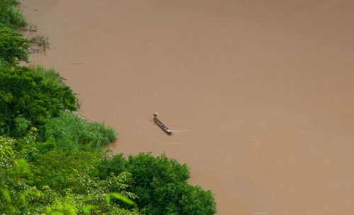 High angle view of bird in water