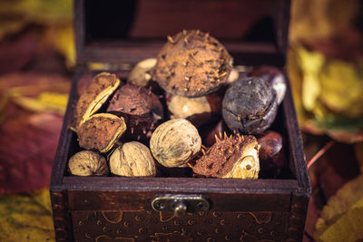 High angle view of nuts in box on autumn leaves