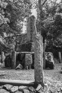 Old stone in cemetery