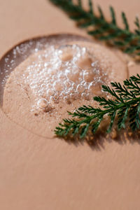 A drop of cosmetic gel on a beige background surrounded by plants and leaves.