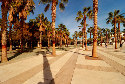 People walking on street