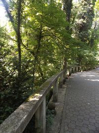 Footpath in park