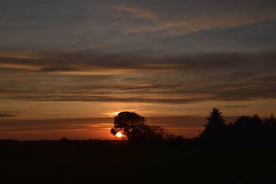 Silhouette trees on field against orange sky