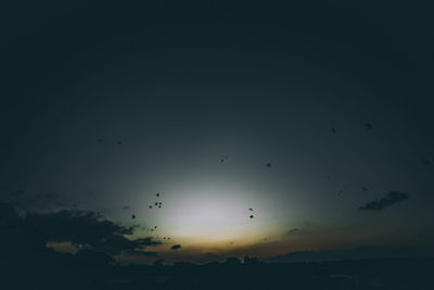 Low angle view of silhouette birds flying against sky