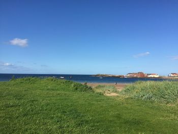 Scenic view of beach against blue sky