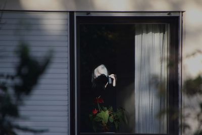 Woman seen through glass window