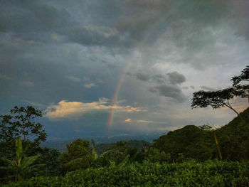 Scenic view of rainbow against sky