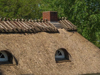 Hiking at the baltic sea in germany