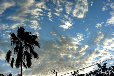 Low angle view of silhouette palm trees against sky