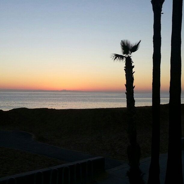 sunset, sea, horizon over water, water, silhouette, scenics, tranquil scene, tranquility, beauty in nature, beach, palm tree, orange color, clear sky, nature, sky, idyllic, shore, tree, copy space, tree trunk