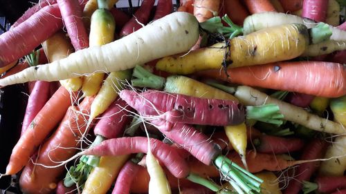 Close-up of vegetables