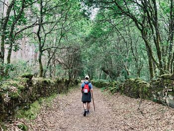A man, my brother walking in the woods, doing camino de santiago as a pilgrim