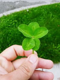 Cropped hand of person holding five leaf clover against field