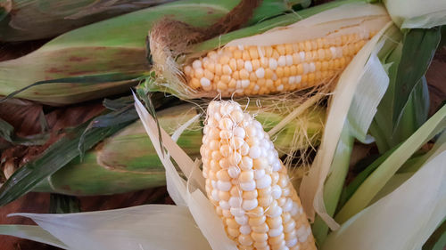 High angle view of corncobs at market