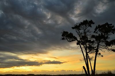 Low angle view of silhouette trees against cloudy sky