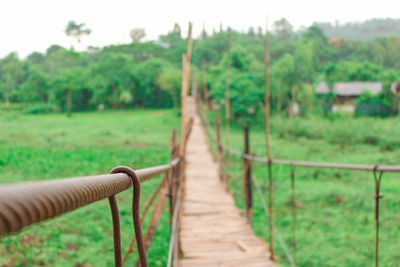 View of trees on grass against sky