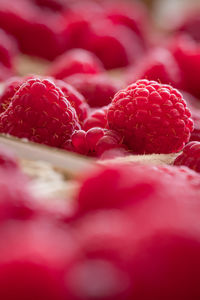 Close-up of strawberry