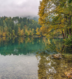 Scenic view of lake by trees against sky