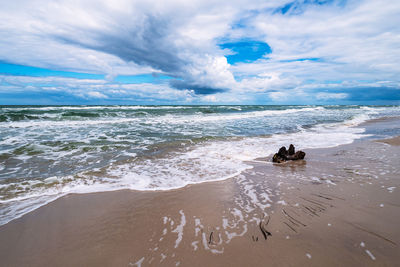 Scenic view of beach against sky