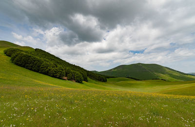 Scenic view of landscape against sky