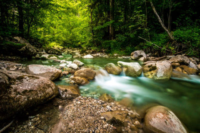 Stream flowing through rocks in forest