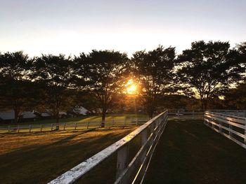 View of trees on field against sky during sunset