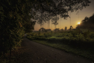 Road amidst trees against sky during sunset