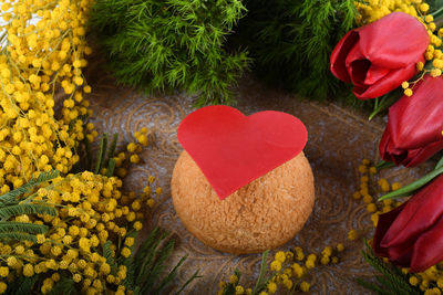 Close-up of red rose on heart shape