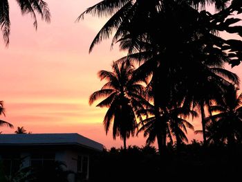 Silhouette palm trees against sky during sunset