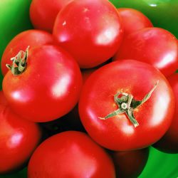 Close-up of tomatoes