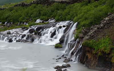 Scenic view of waterfall in forest