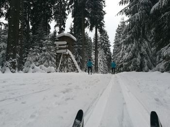 View of snow covered trees in city