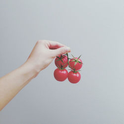 Close-up of hand holding apple over white background