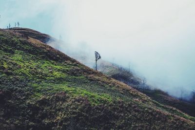 Scenic view of landscape against cloudy sky