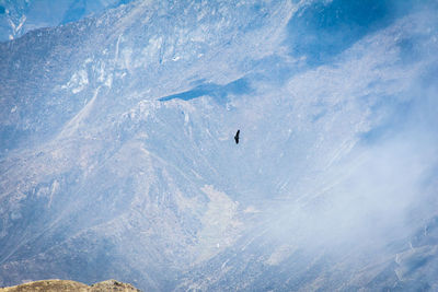 Scenic view of mountains