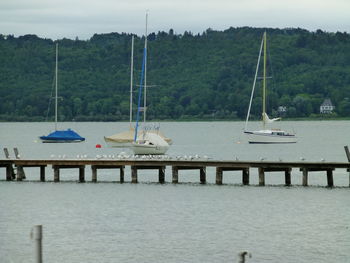 Sailboats on lake against sky