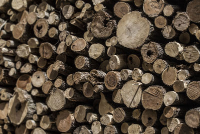 Full frame shot of logs in forest